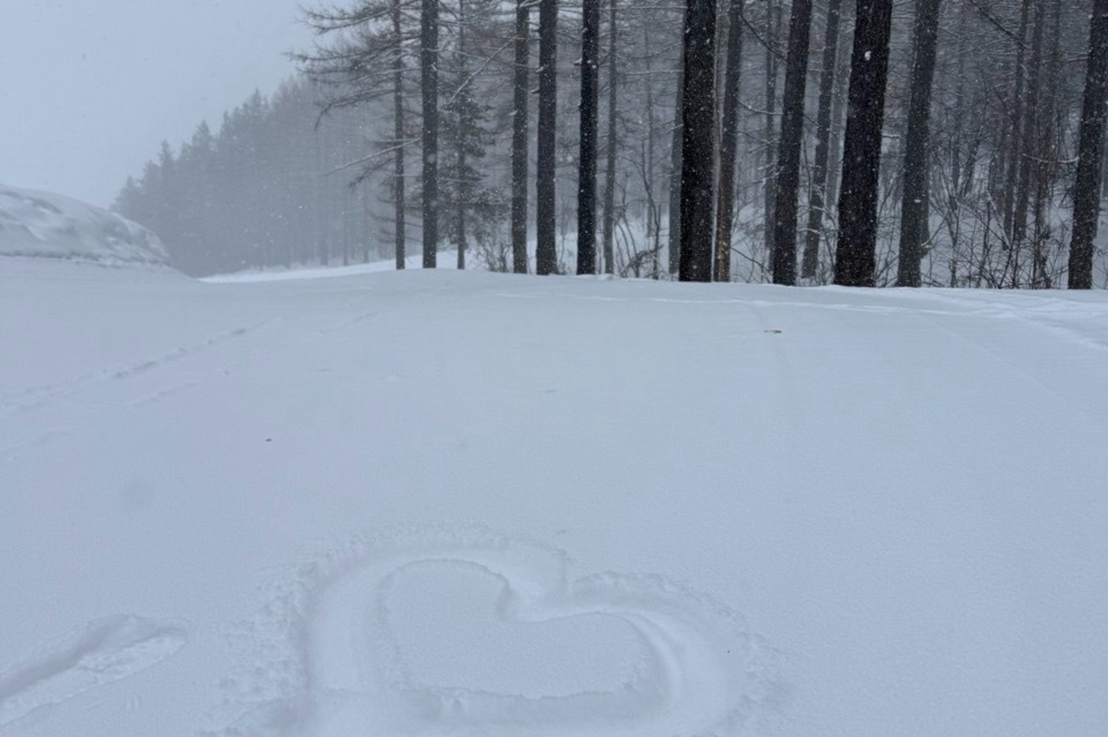 Елены Колоколовой. «Общественная электронная газета».