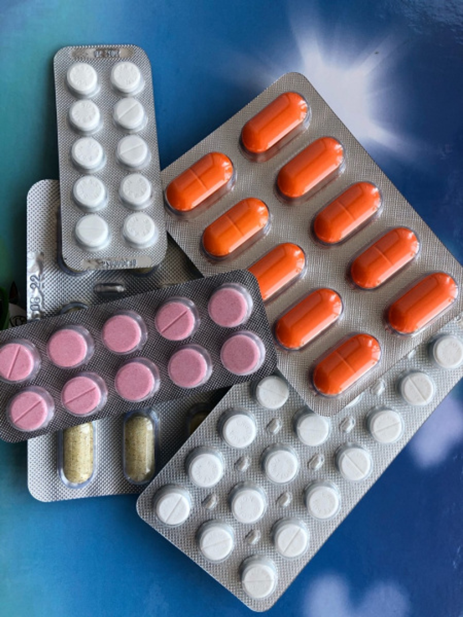 Фото Елены Колоколовой.