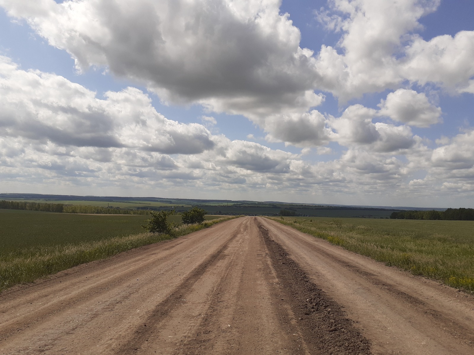 Владимира Шакиева.