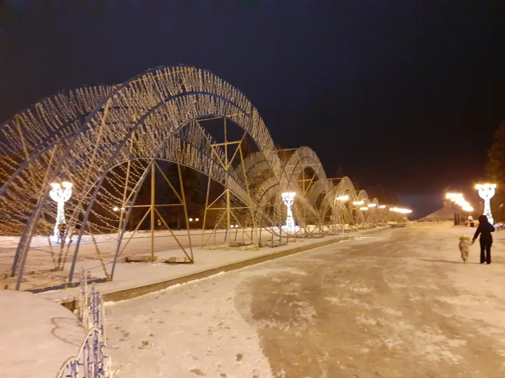 Владимира Шакиева.