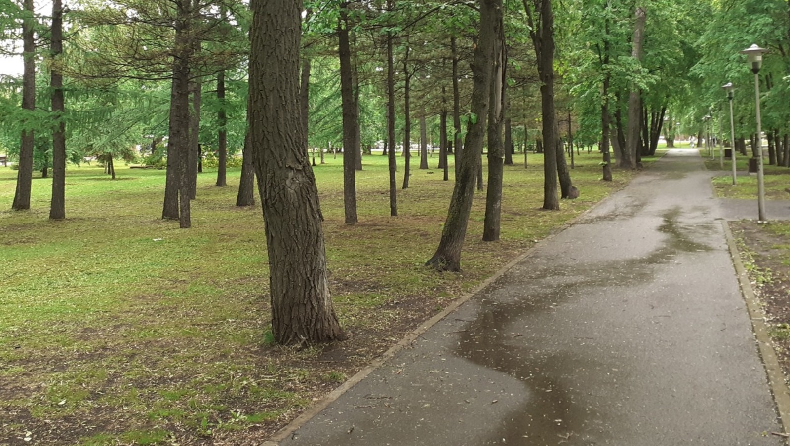 Владимира Шакиева.