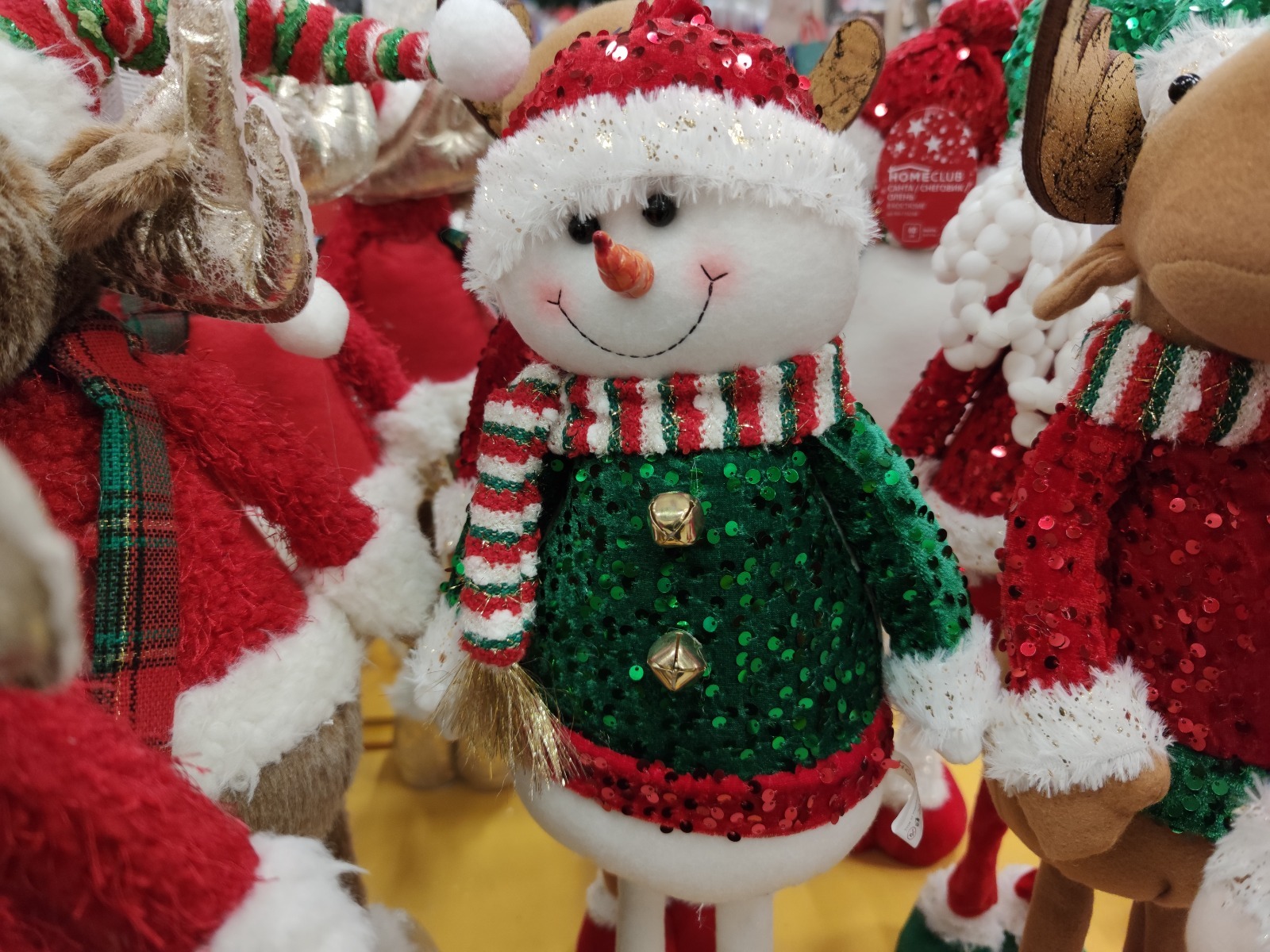 Дарьи Святохиной.