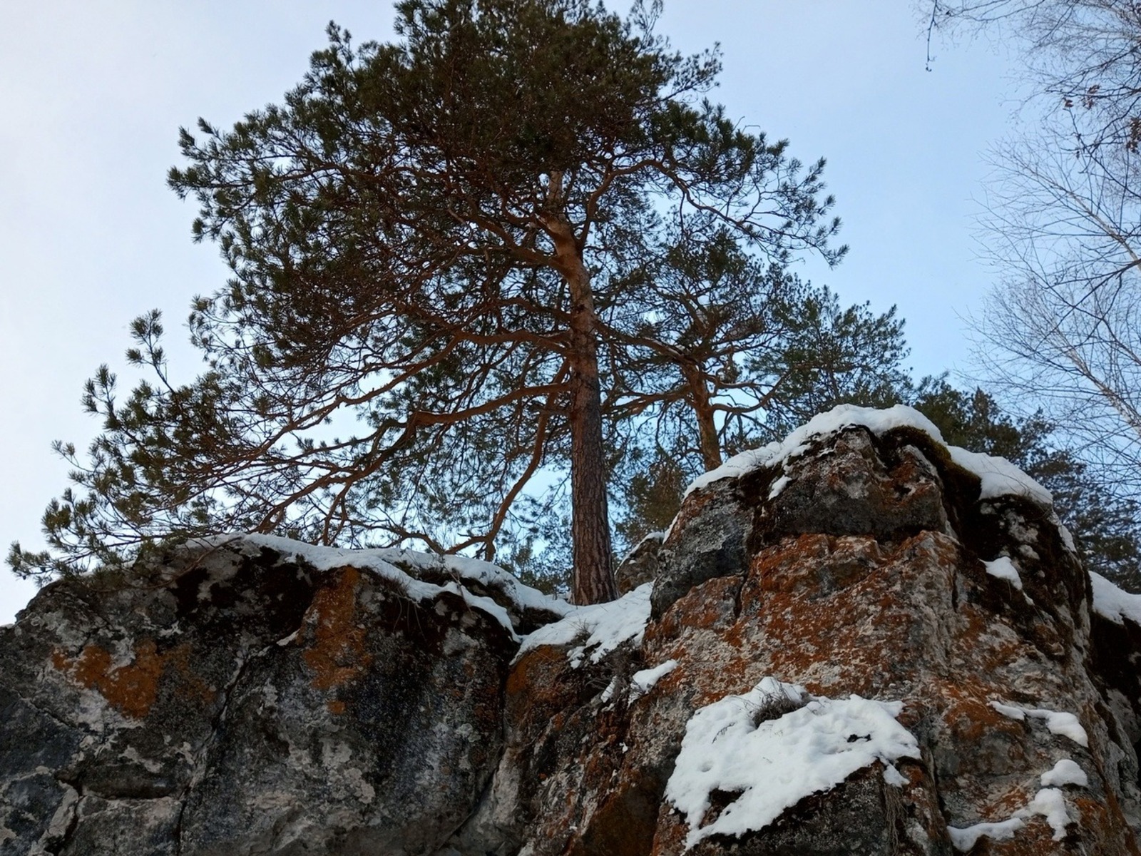 Евгении Сюткиной.