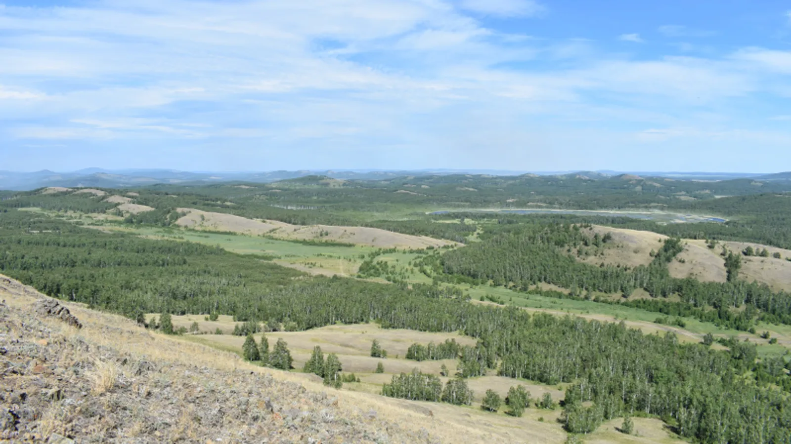 Фото автора.