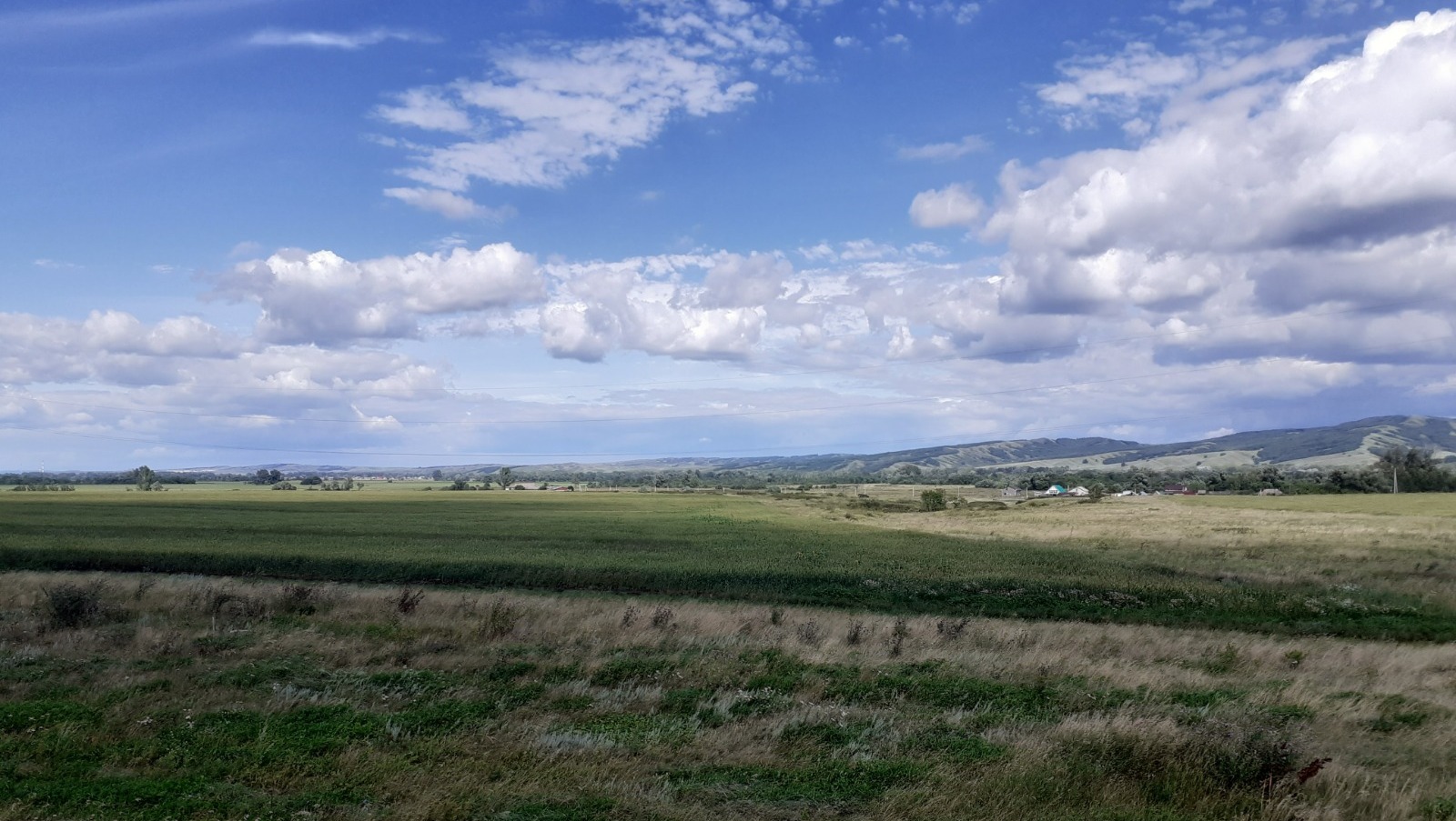 Владимира Шакиева. «Общественная электронная газета».