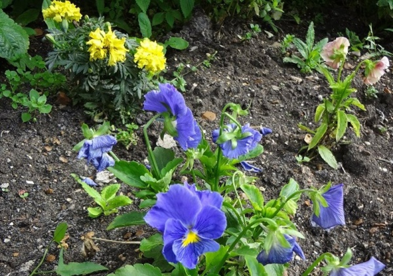 Фото Васили Саитовой.