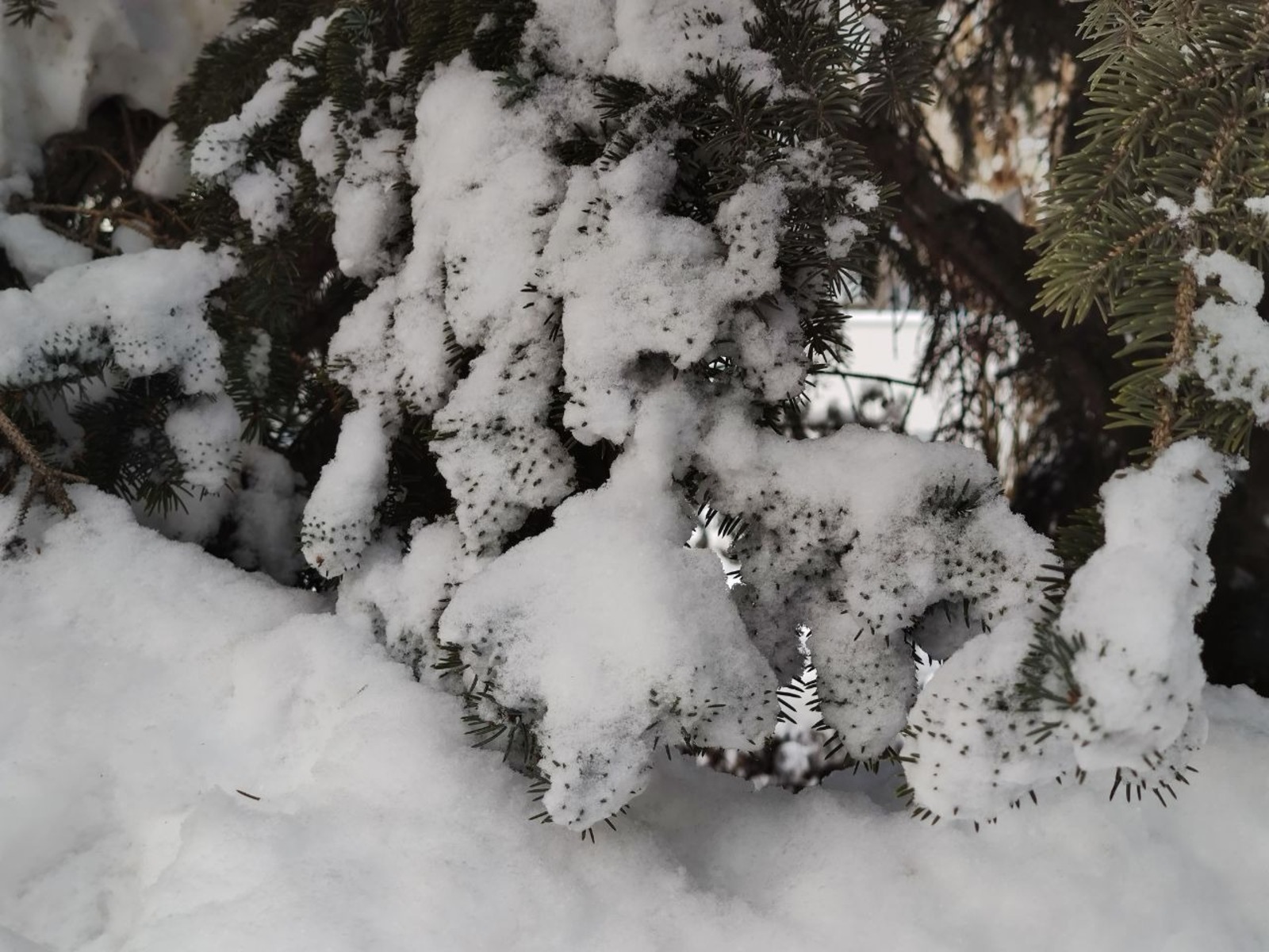 Дарьи Свяохиной. «Общественная электронная газета».