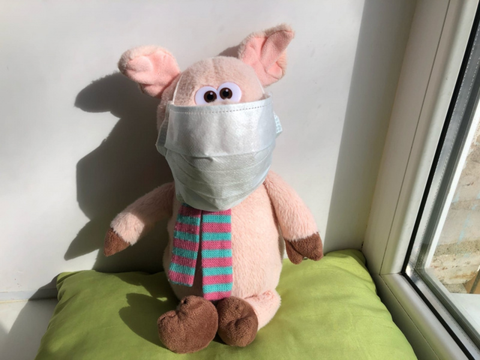 Фото Елены Колоколовой.