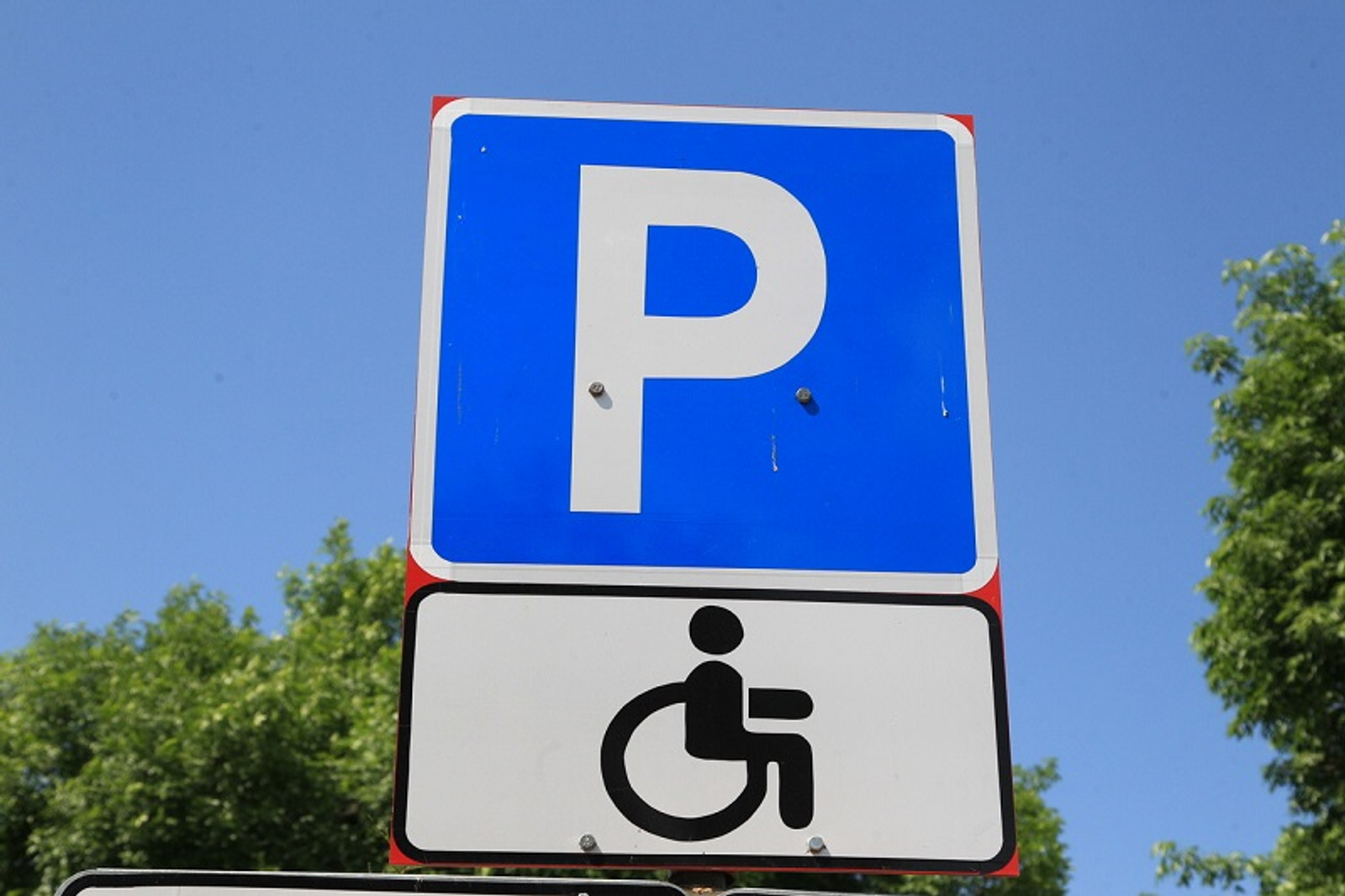 Фото Олега Яровикова.