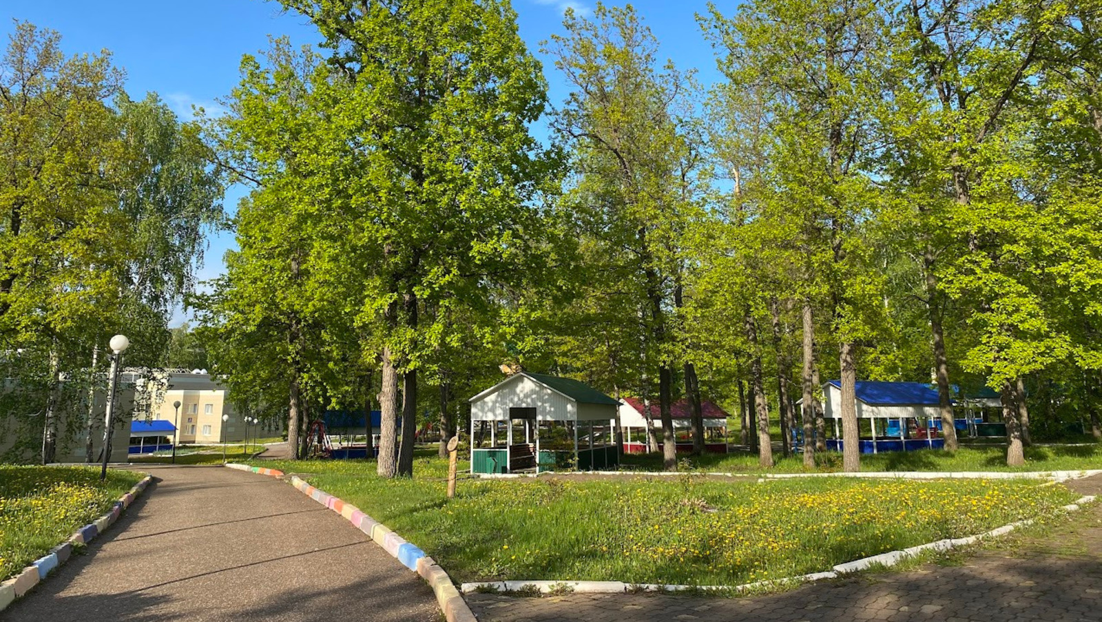 Елены Колоколовой.