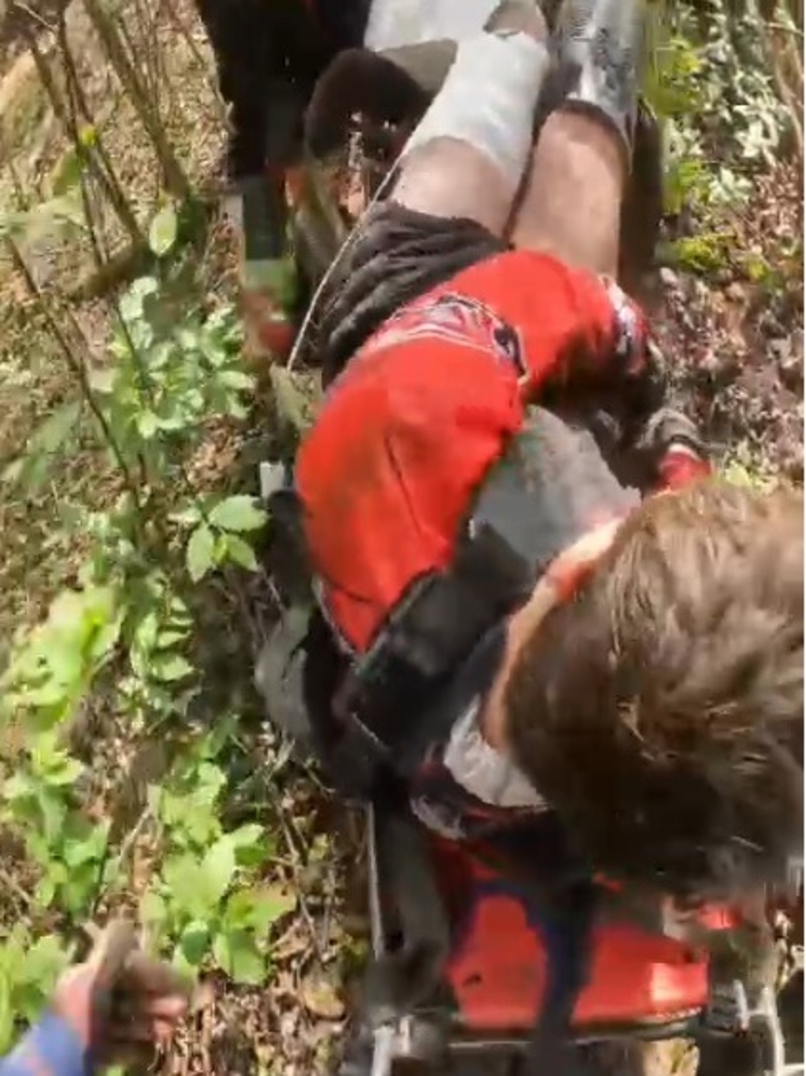 скриншот видео.