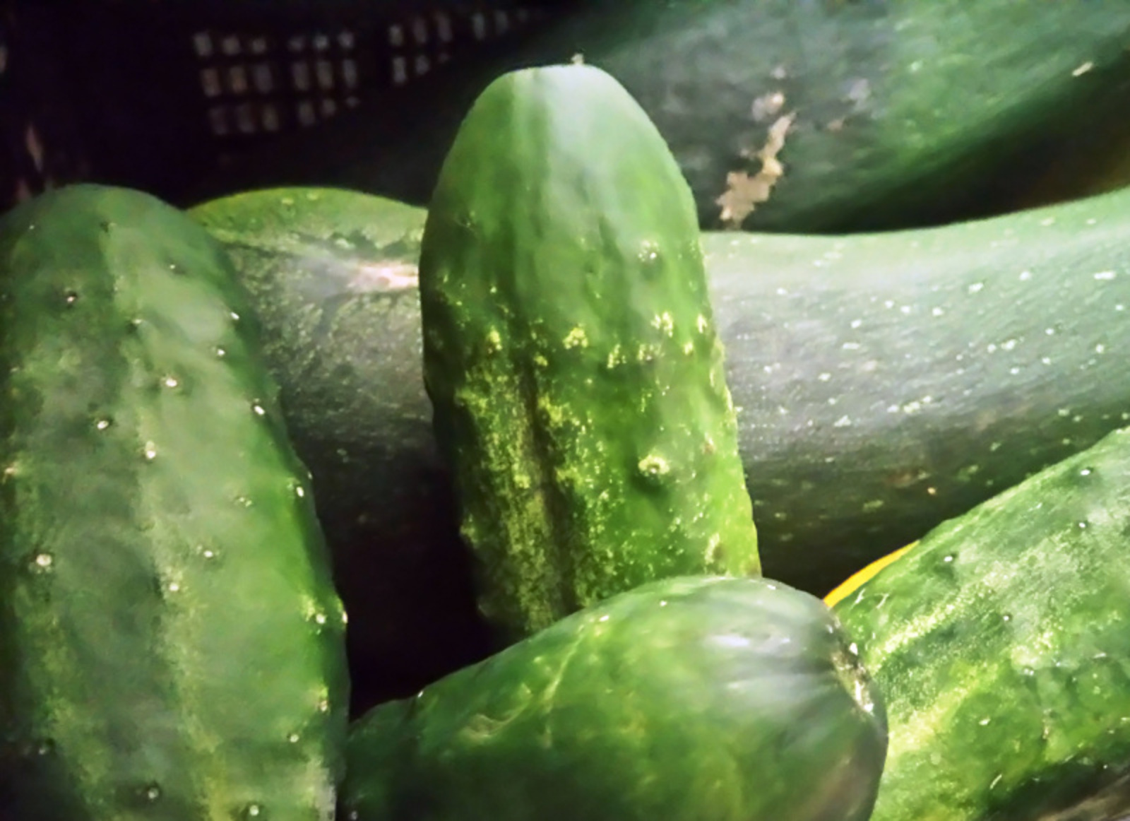 Фото Васили Саитовой.