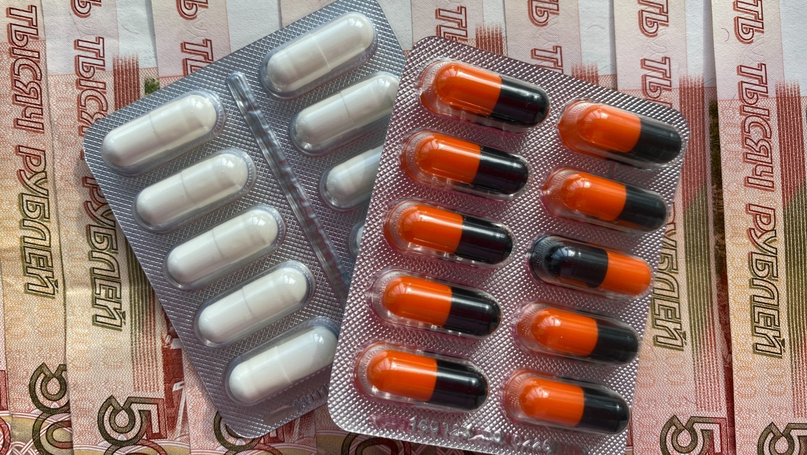 Елены Колоколовой.