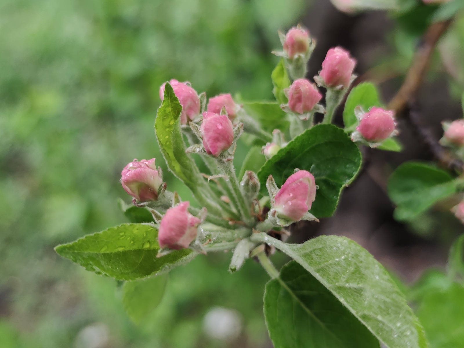 Дарьи Святохиной.