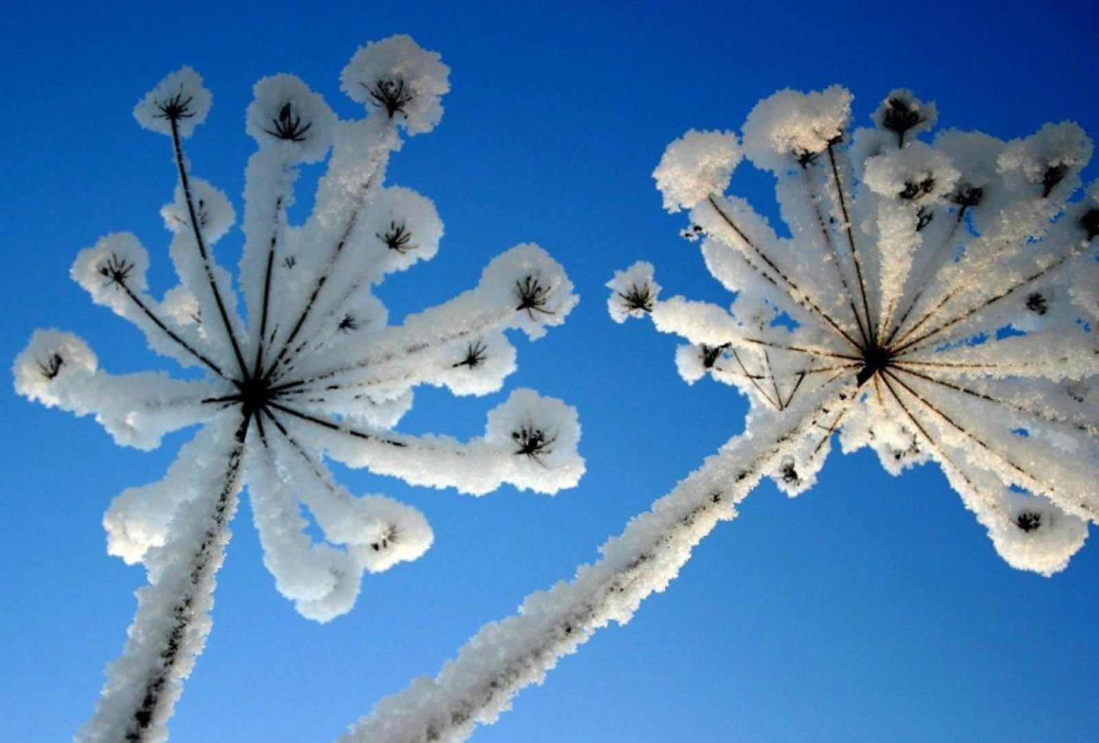 Фото Олега Яровикова.