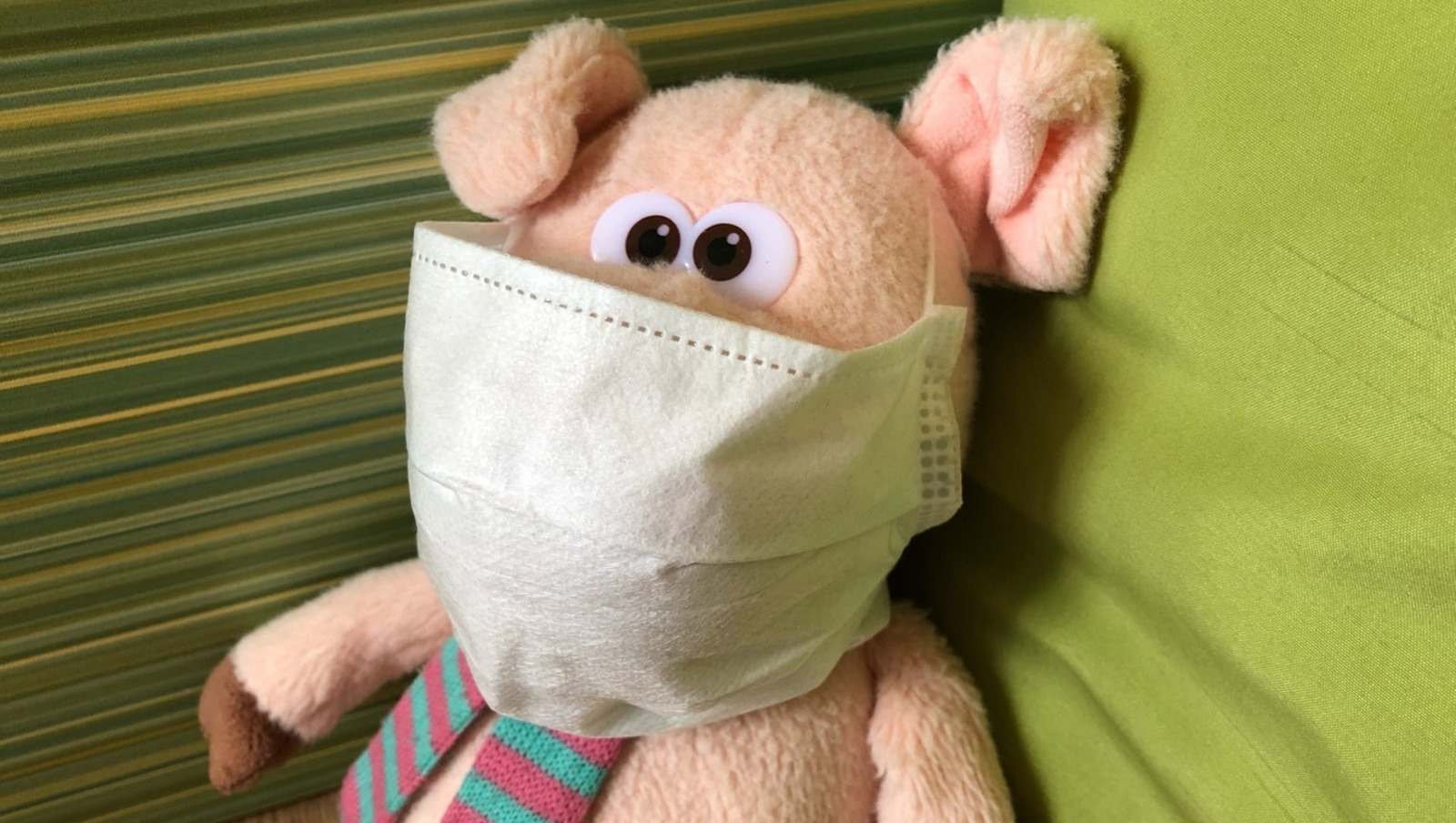 Елены Колоколовой.