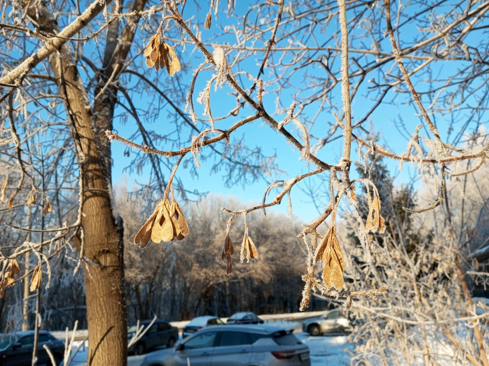 Евгении Сюткиной.
