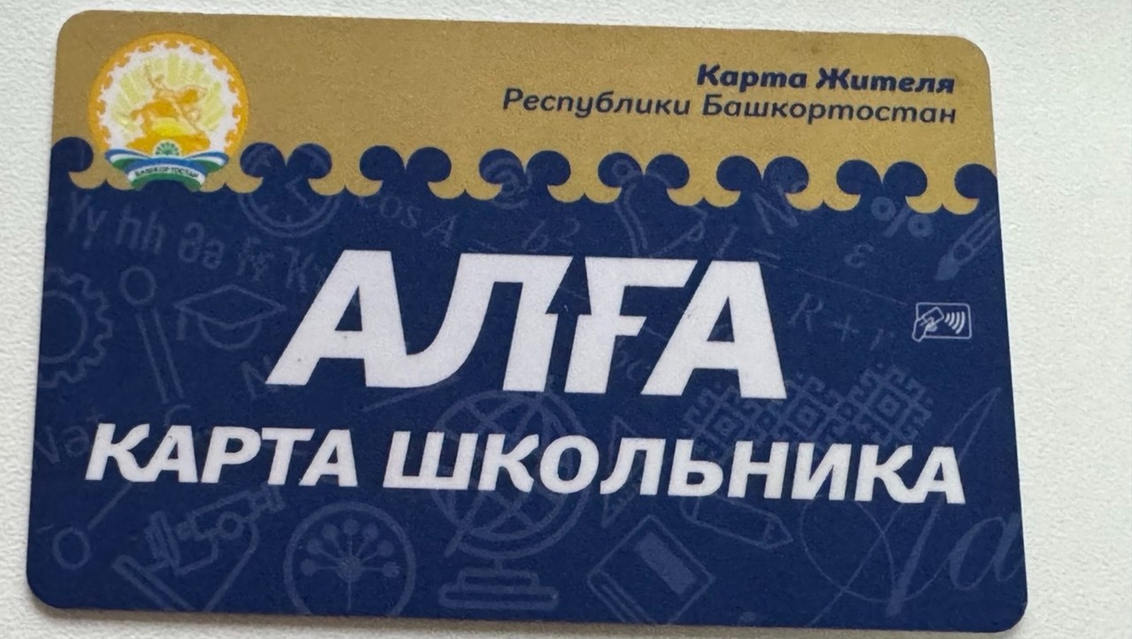 Елены Колоколовой.