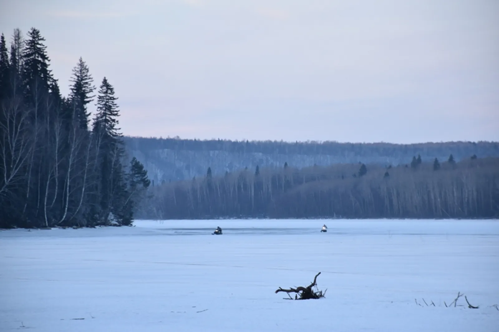 Фото Елены Колоколовой.