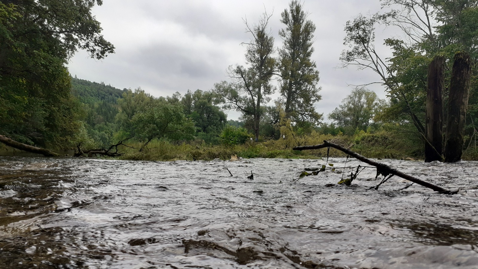 Владимира Шакиева.