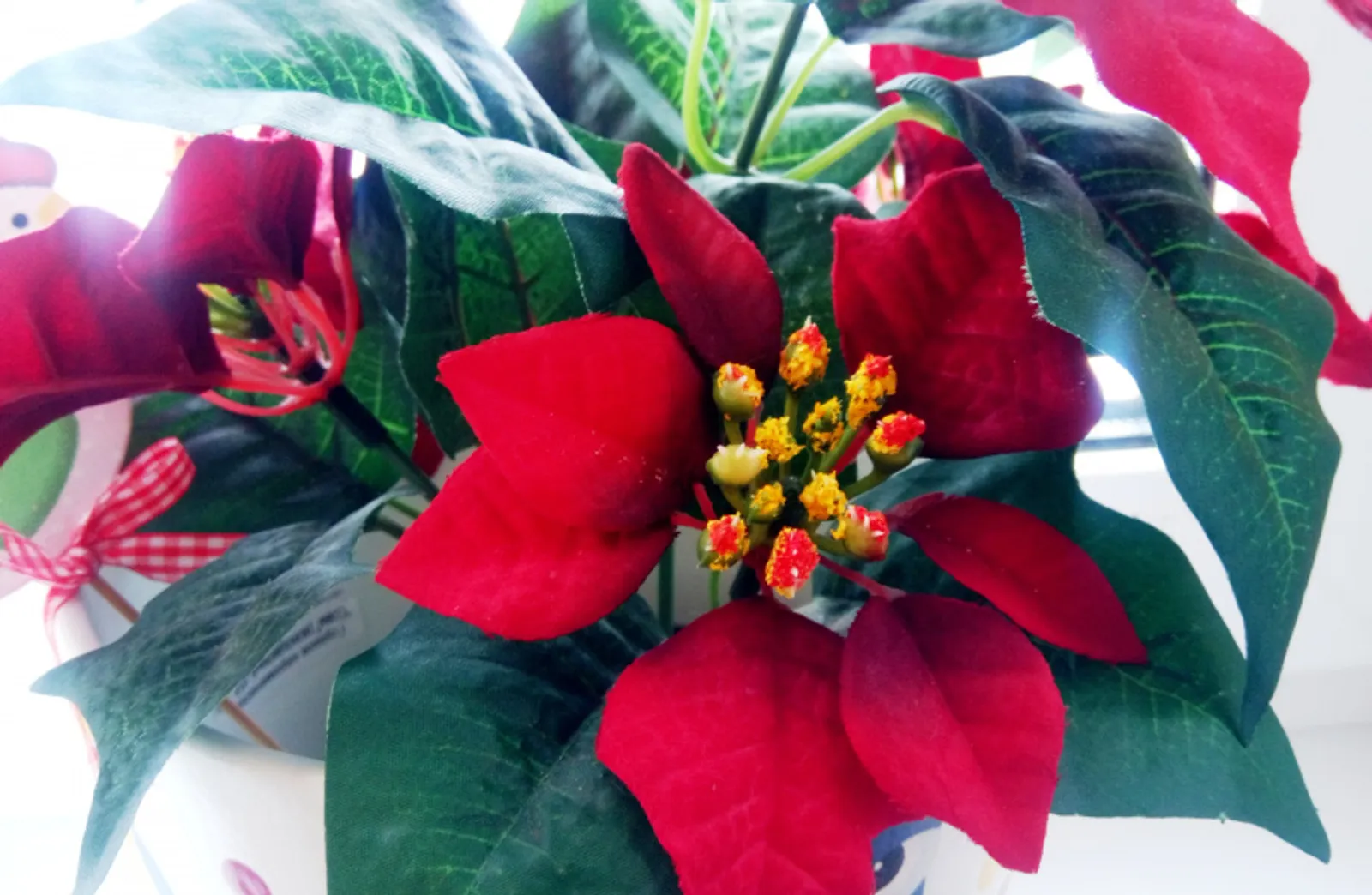 Фото Васили Саитовой.