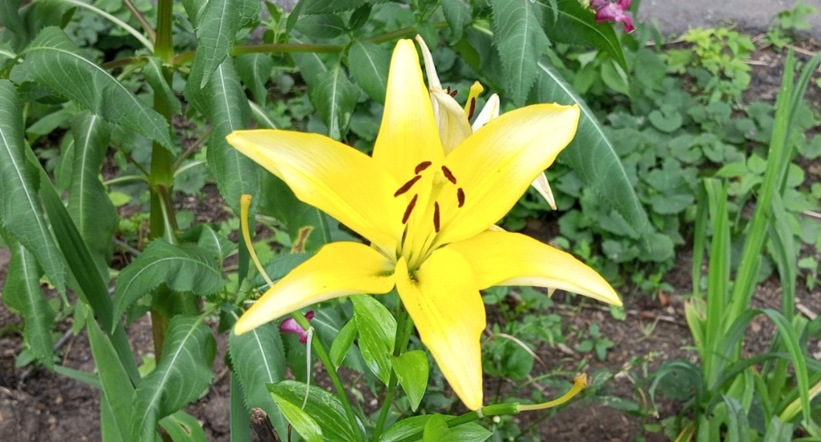 Евгении Сюткиной.