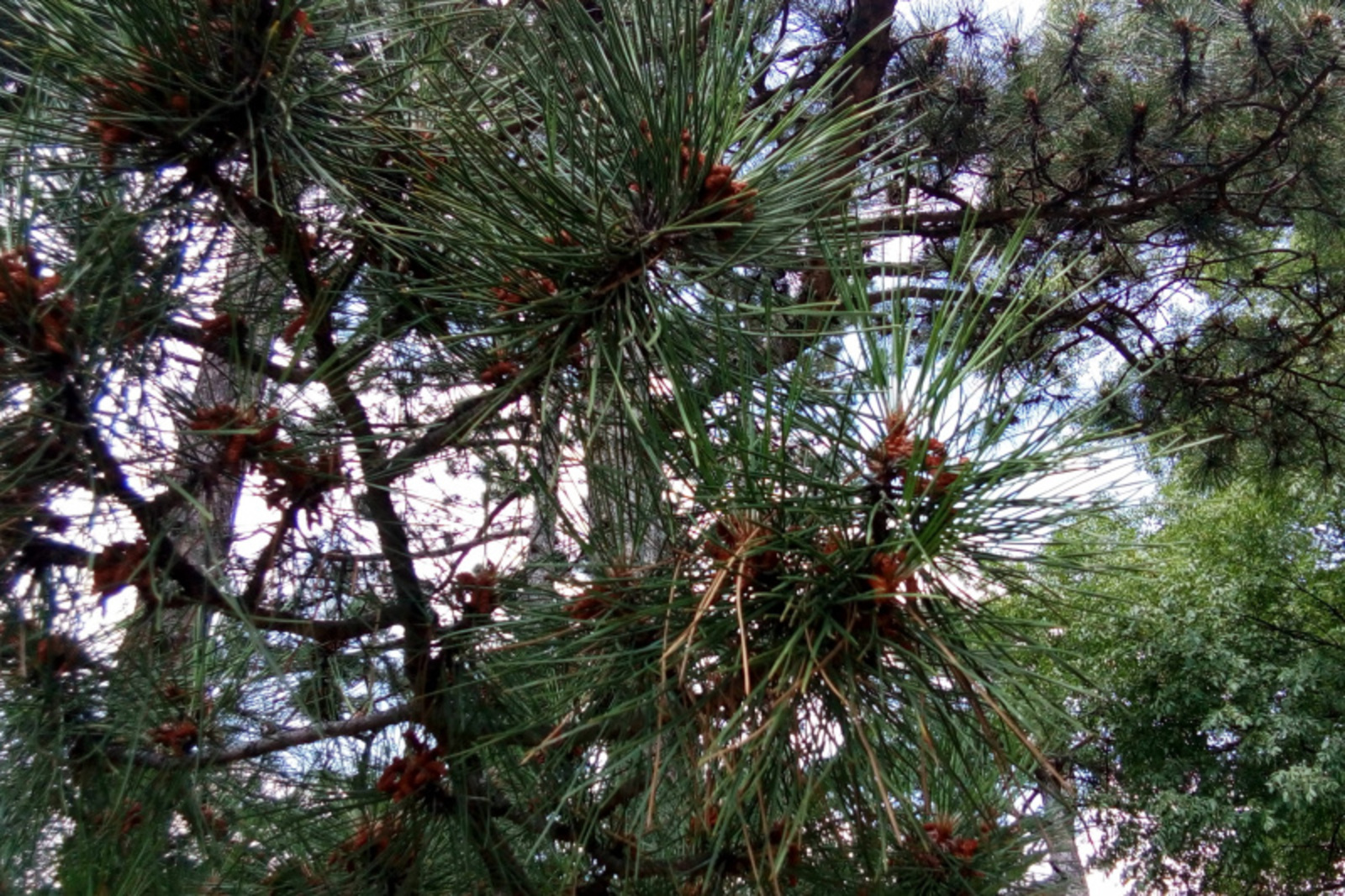 Фото ИА Башинформ.