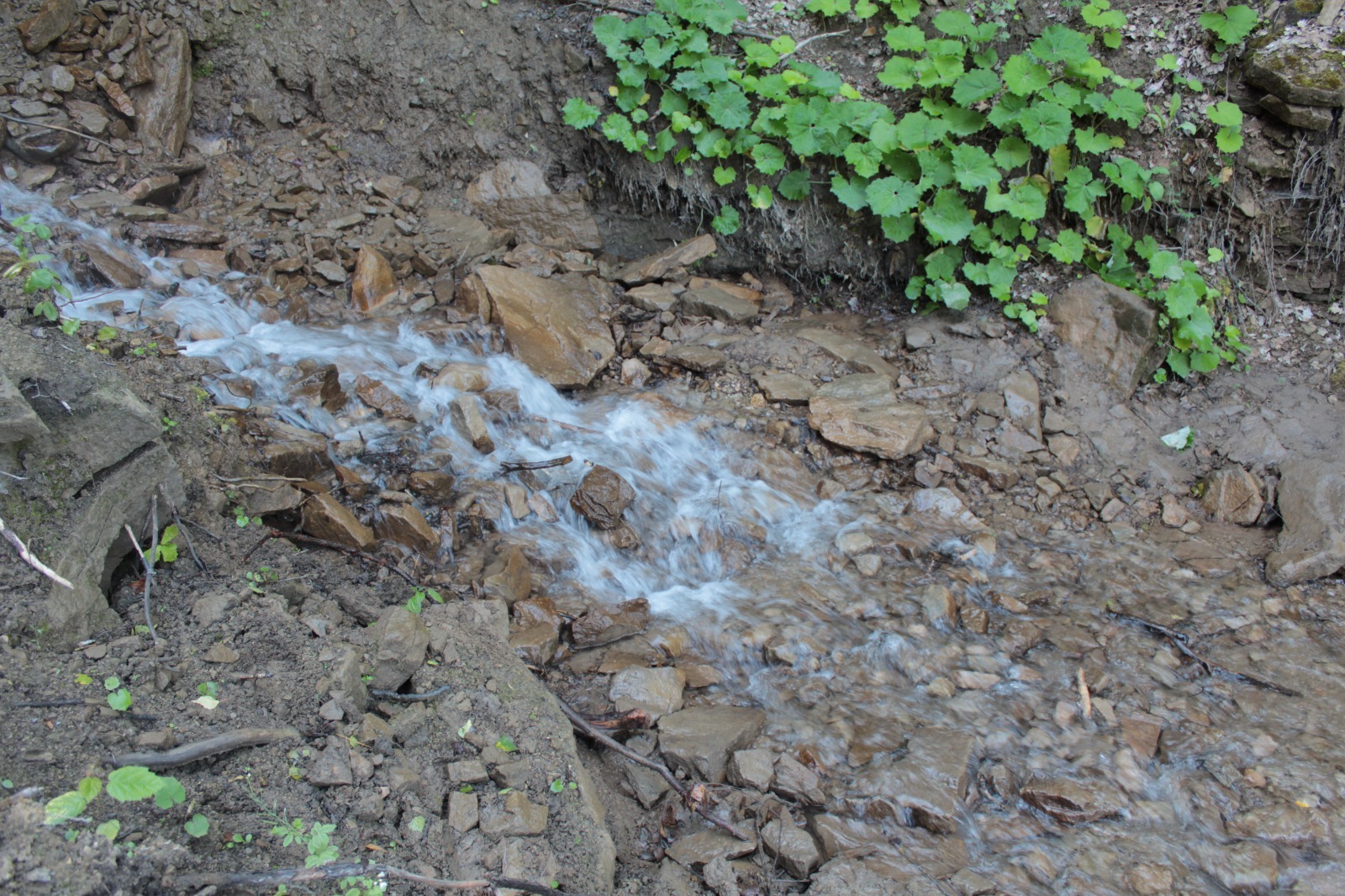 Дарьи Святохиной. «Общественная электронная газета».