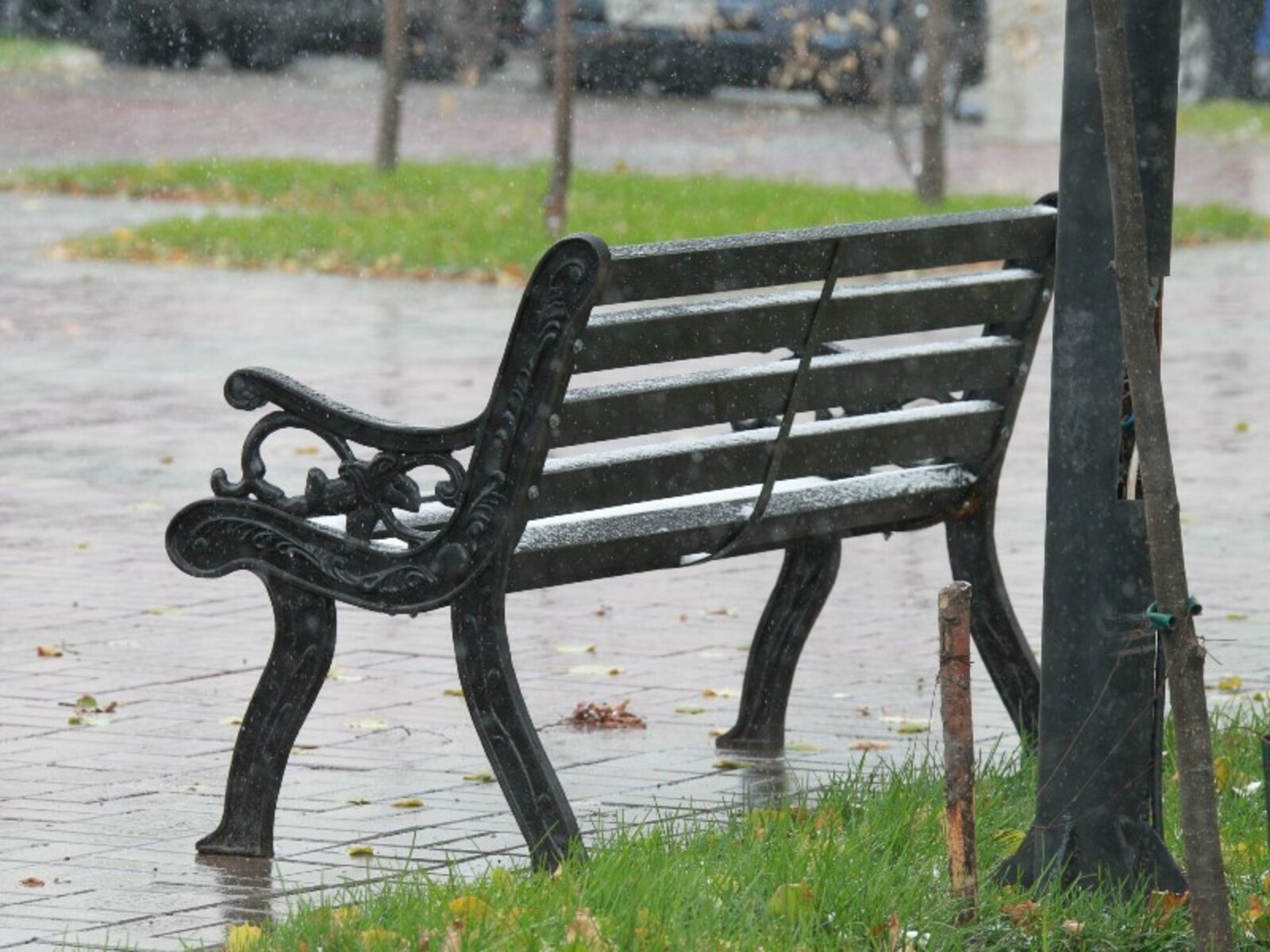 Фото Олега Яровикова.