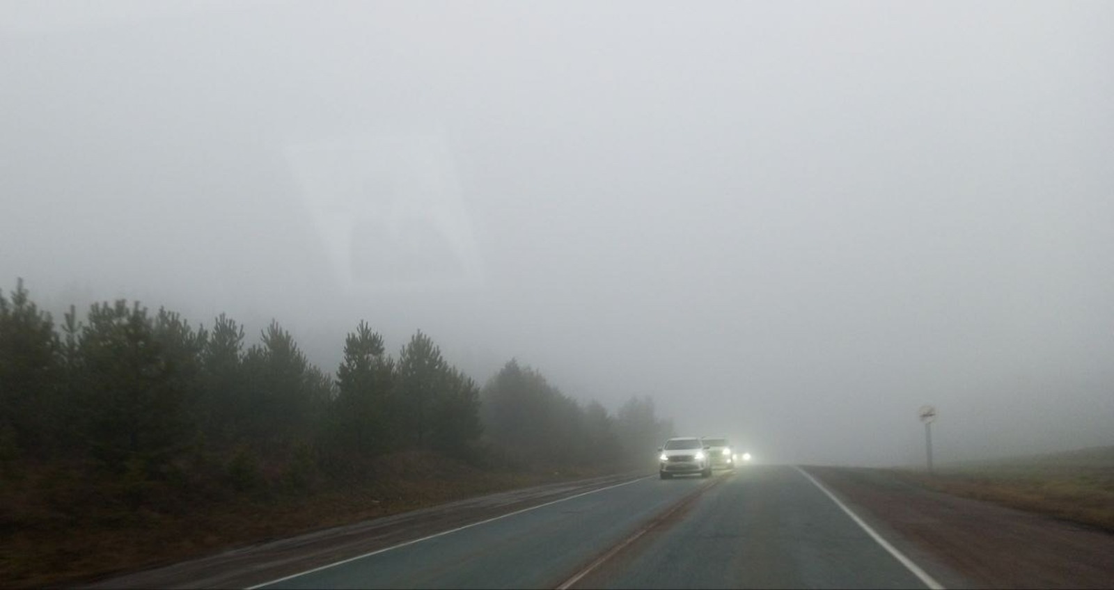 Евгении Сюткиной. «Общественная электронная газета».