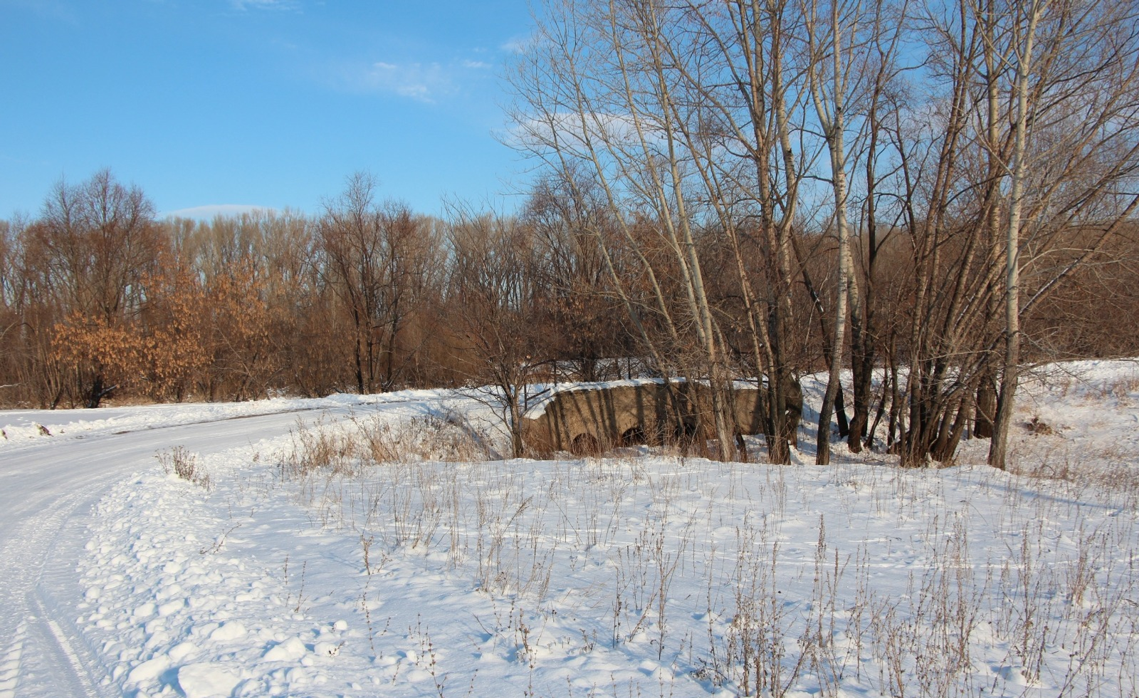 Евгении Сюткиной. «Общественная электронная газета».