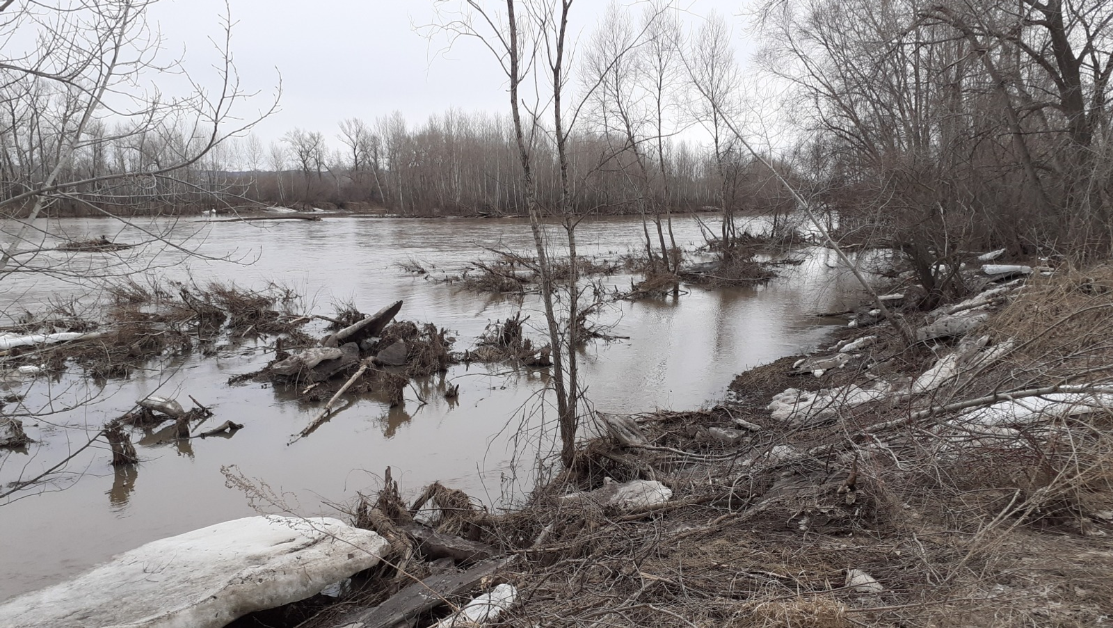 Владимира Шакиева.  «Общественная электронная газета».