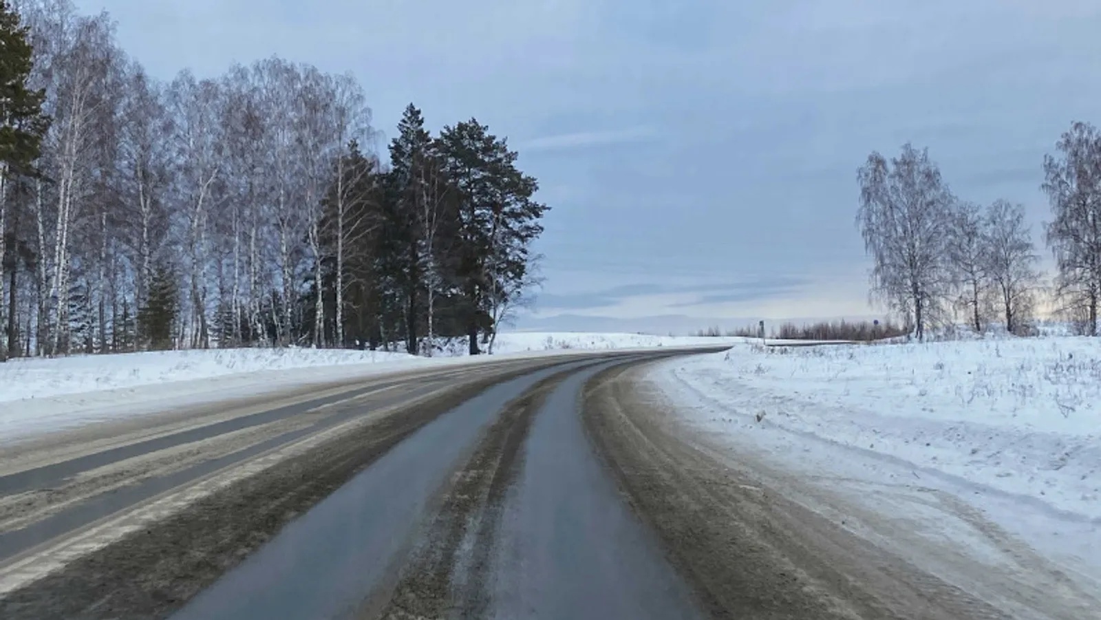 Елены Колоколовой.