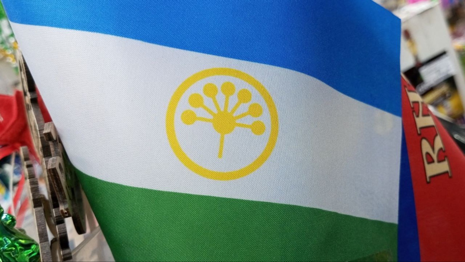 Евгении Сюткиной. «Общественная электронная газета».