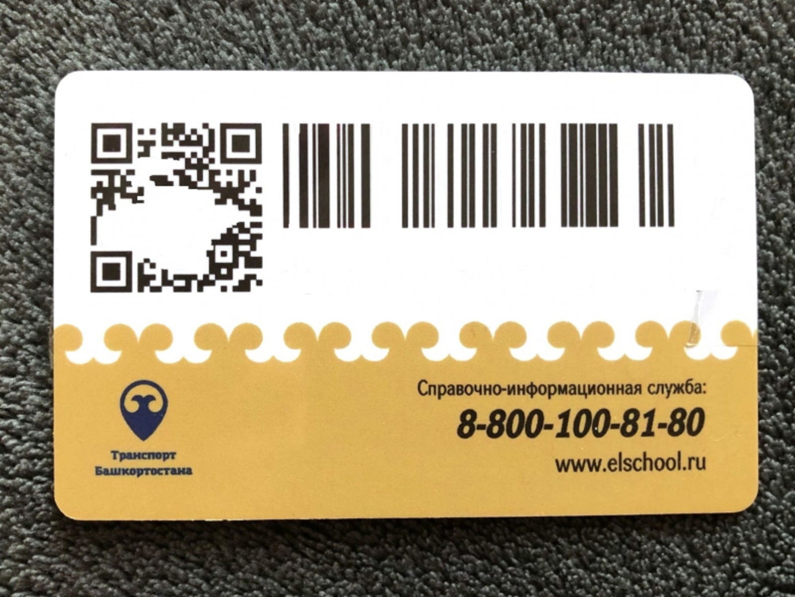 Фото автора.