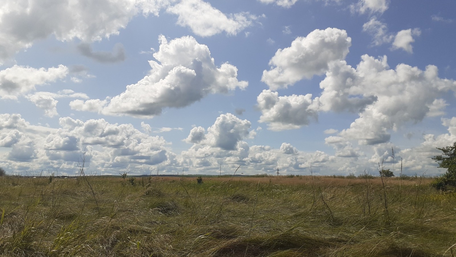 Владимира Шакиева.