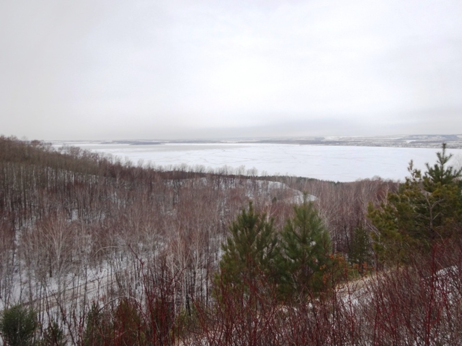 Фото автора.