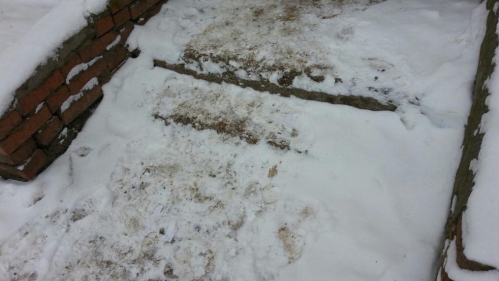 Дарьи Святохиной.