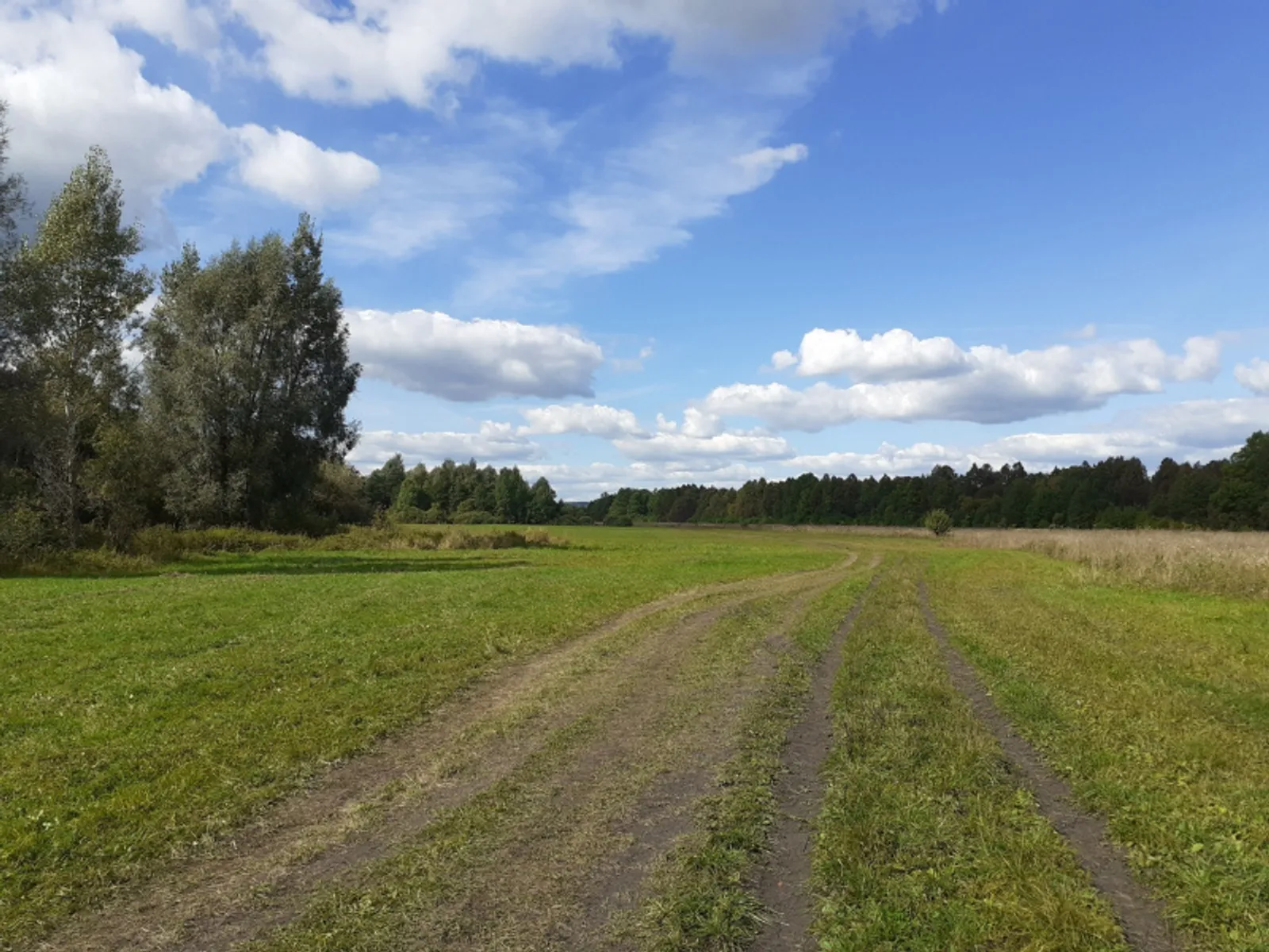 Фото автора.