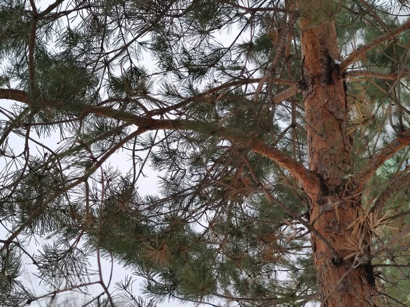 Дарьи Святохиной. «Общественная электронная газета».