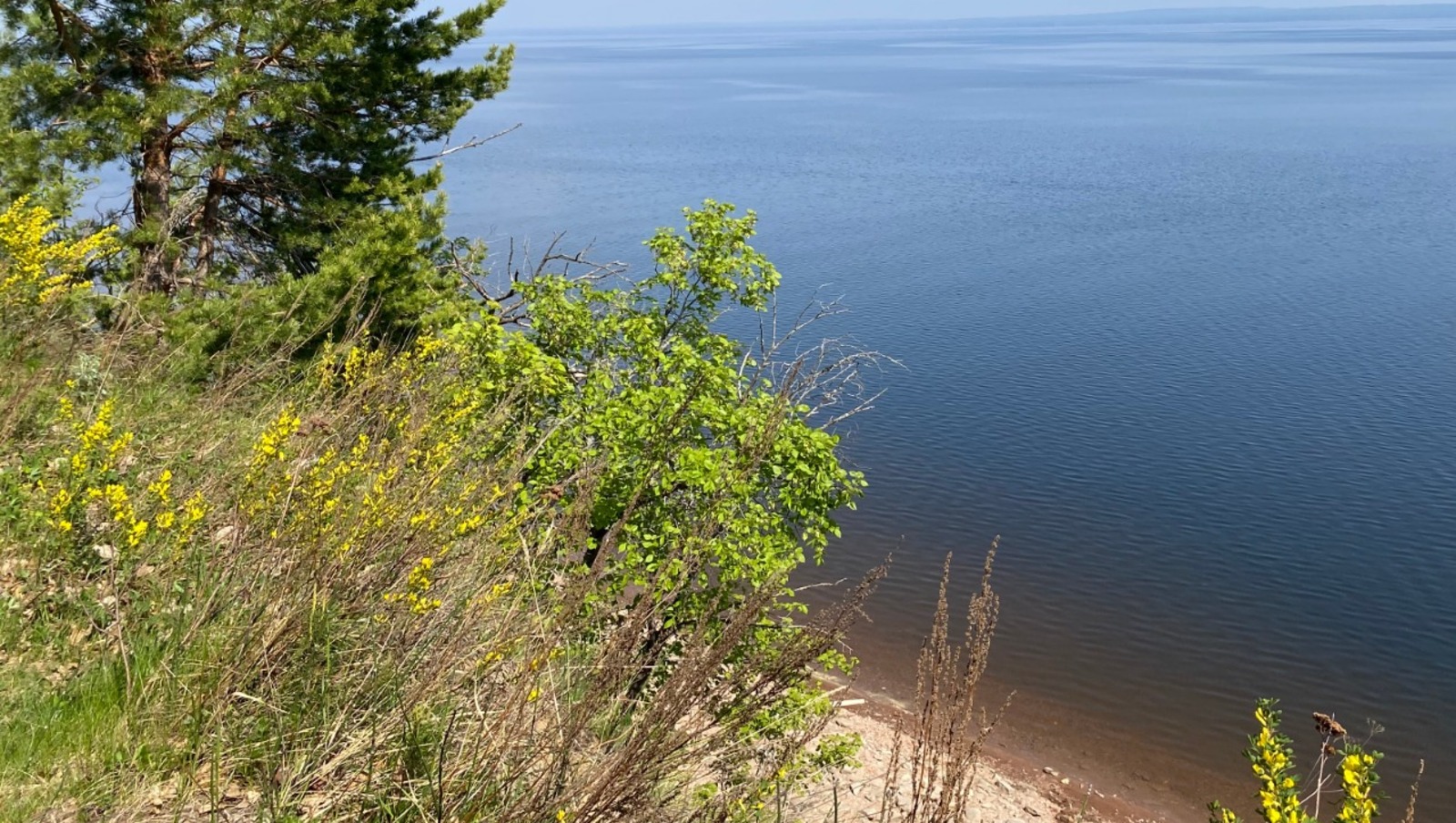 Елены Колоколовой.