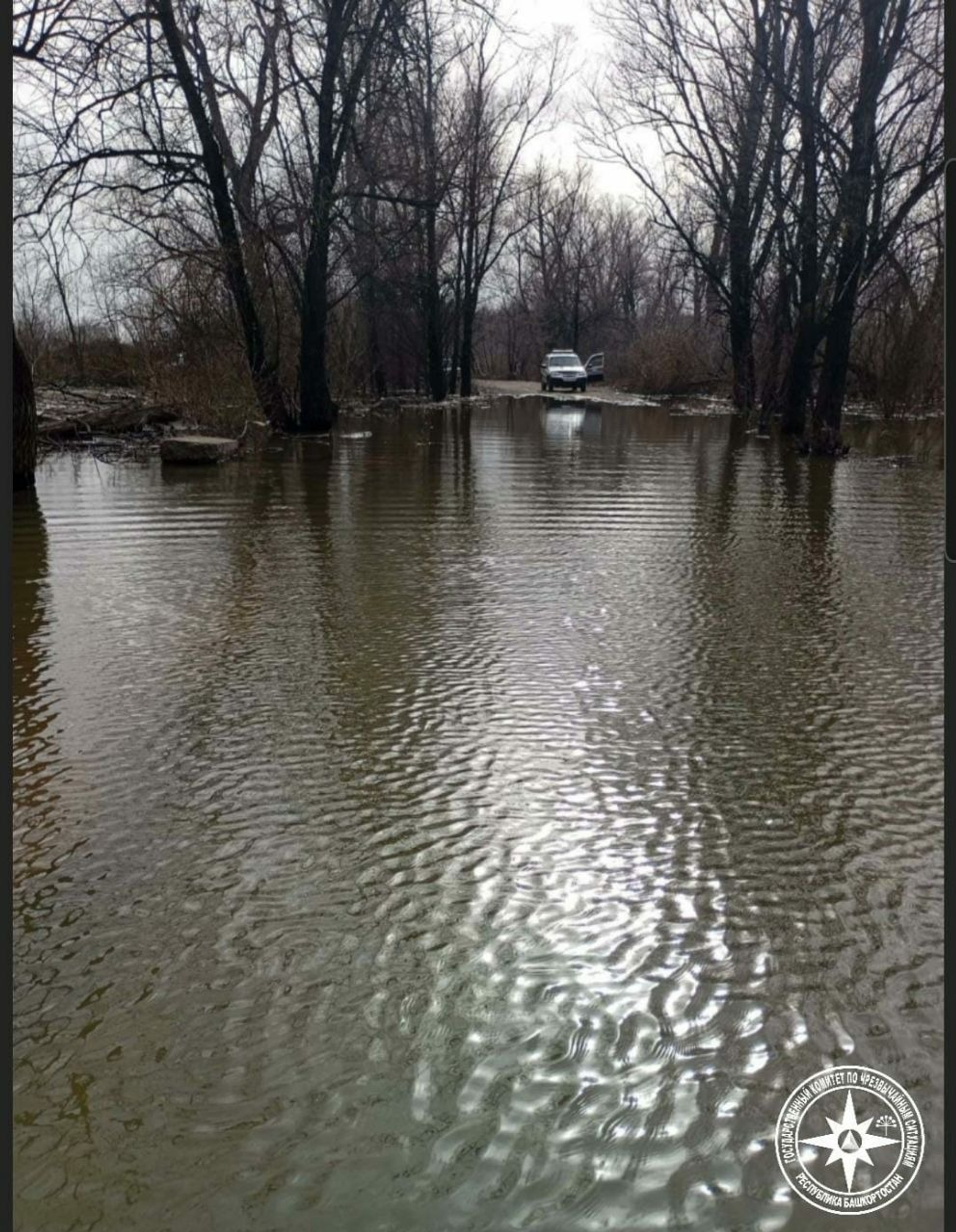 официальная страница Кирилла Первова. Telegram.