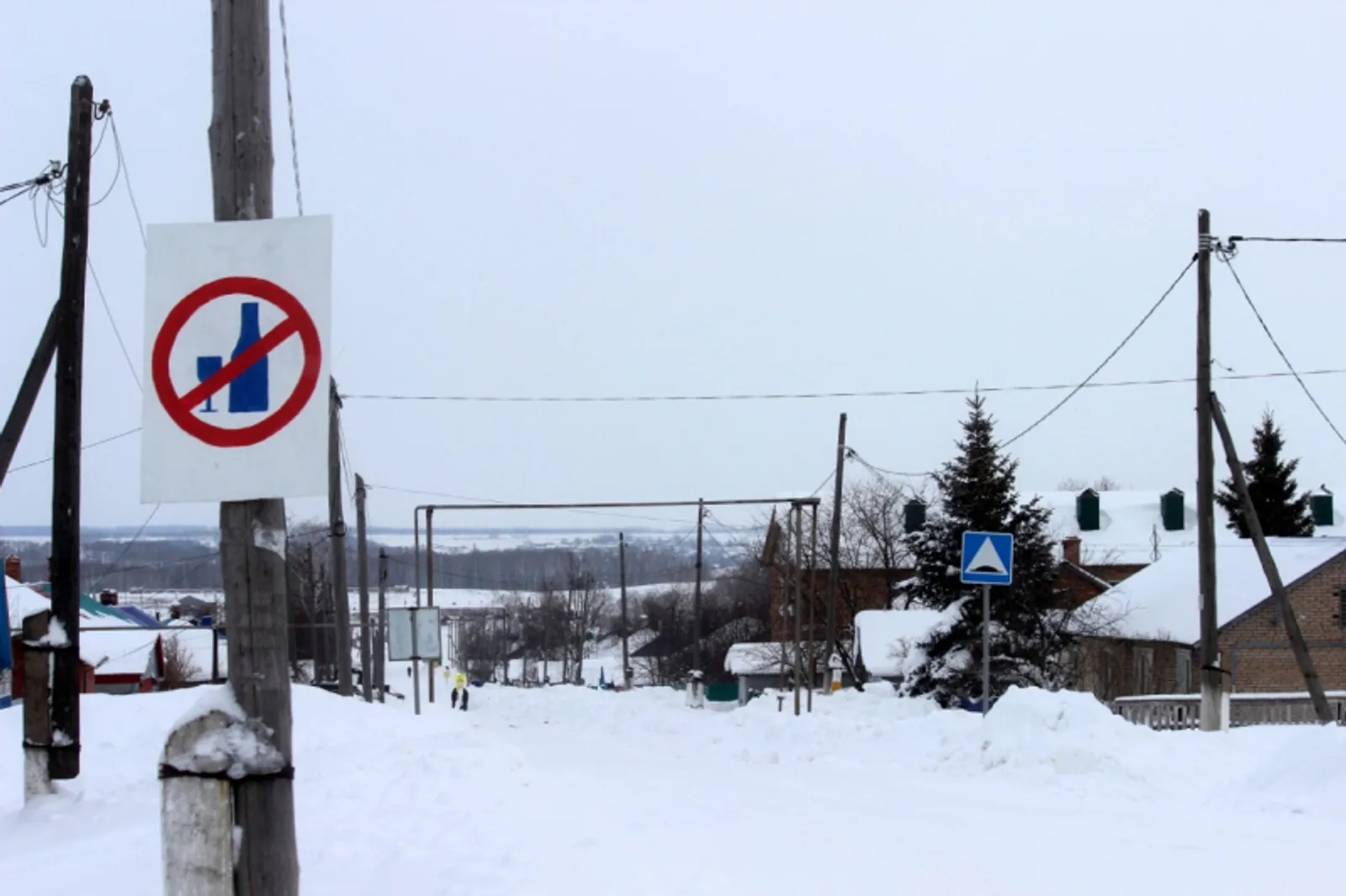 Фото предоставлено Энже Шафиковой.