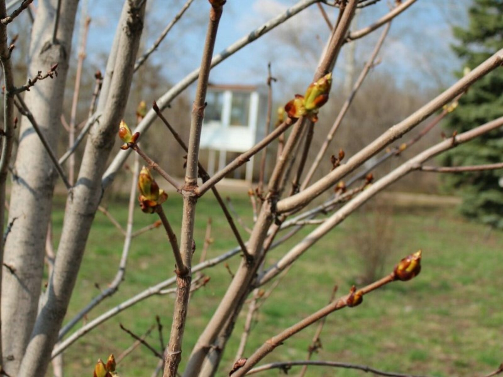 Фото автора.