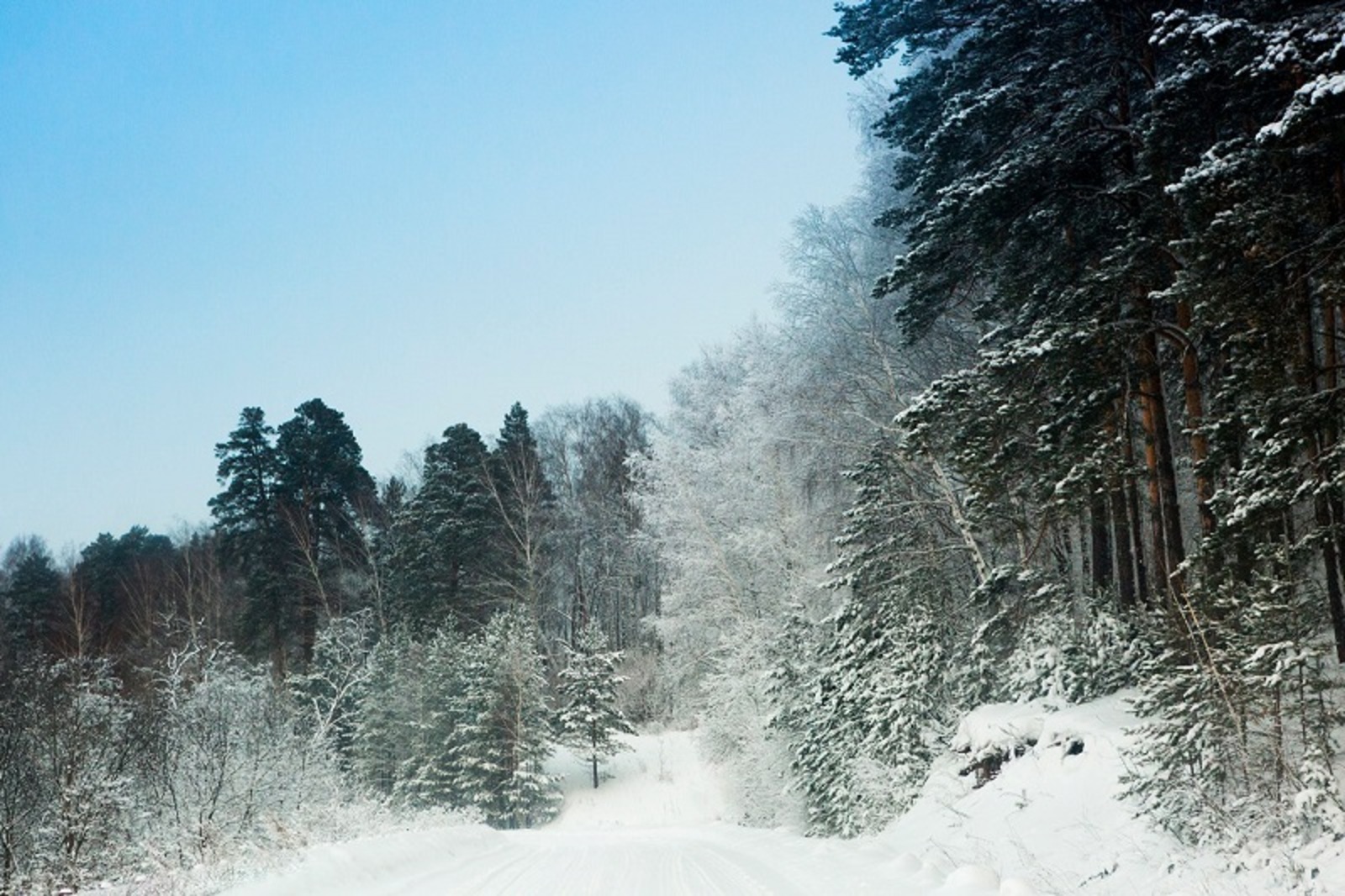Фото Фаиля Абсатарова.