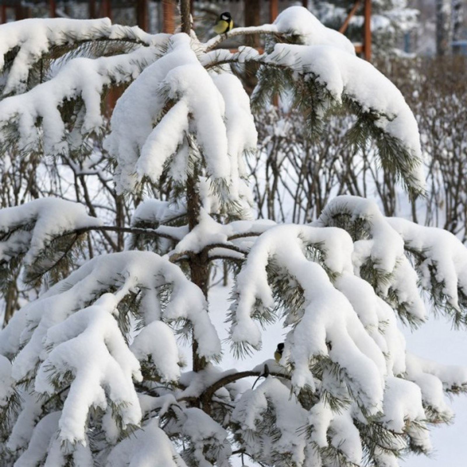 Фото Фаиля Абсатарова.