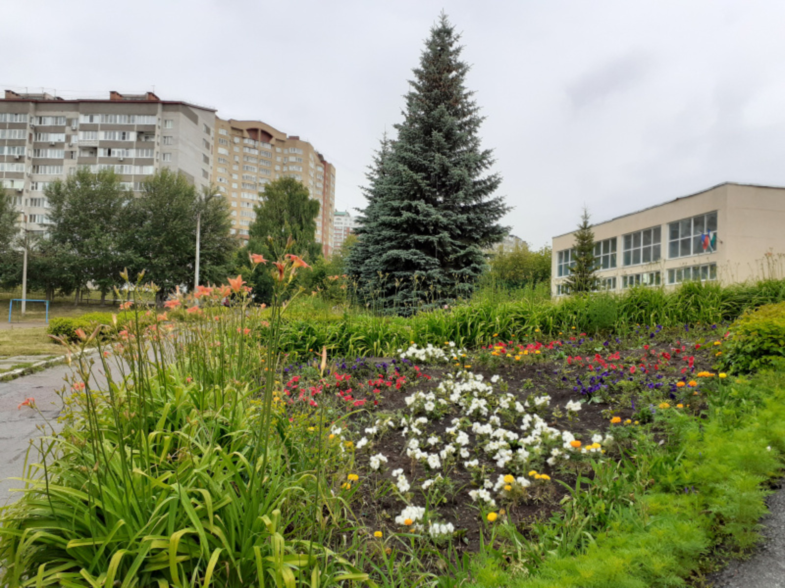 Фото автора.