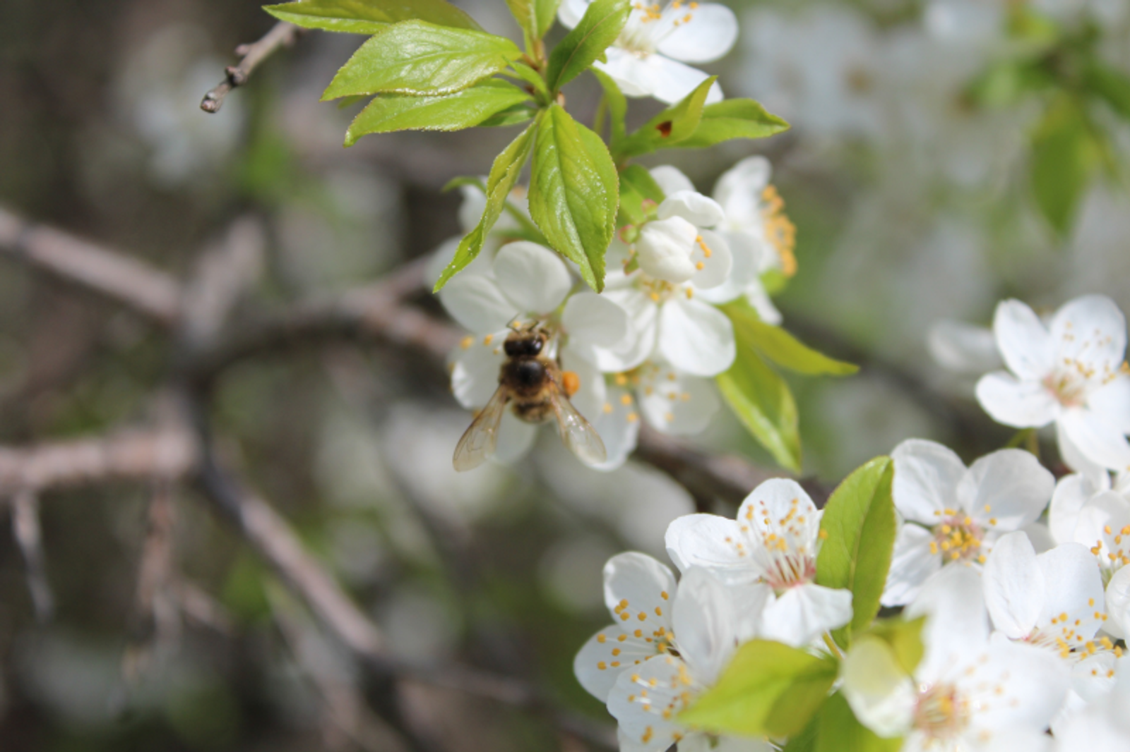 Фото автора.