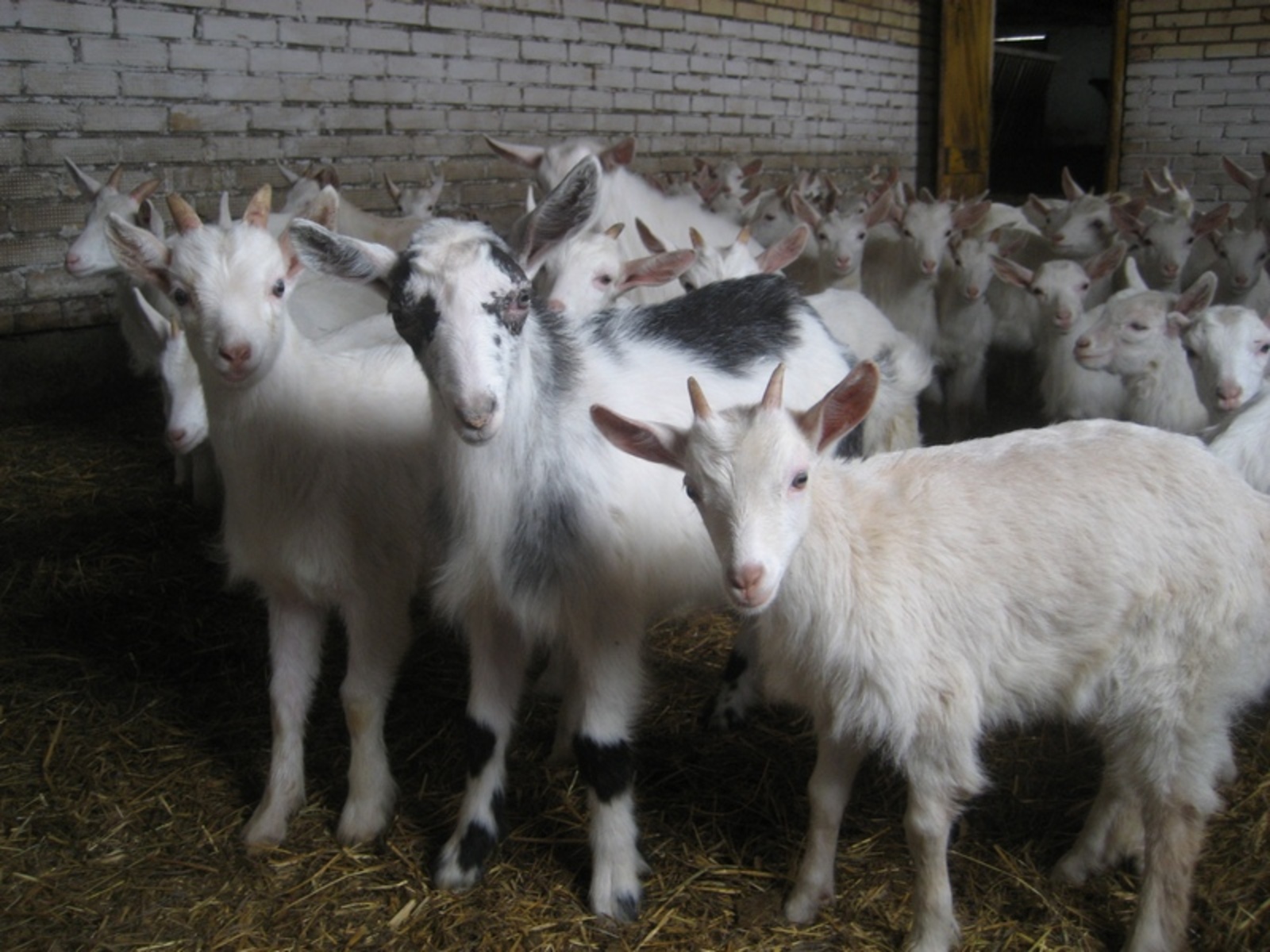 Фото предоставлено Рамилей Самигуллиной..