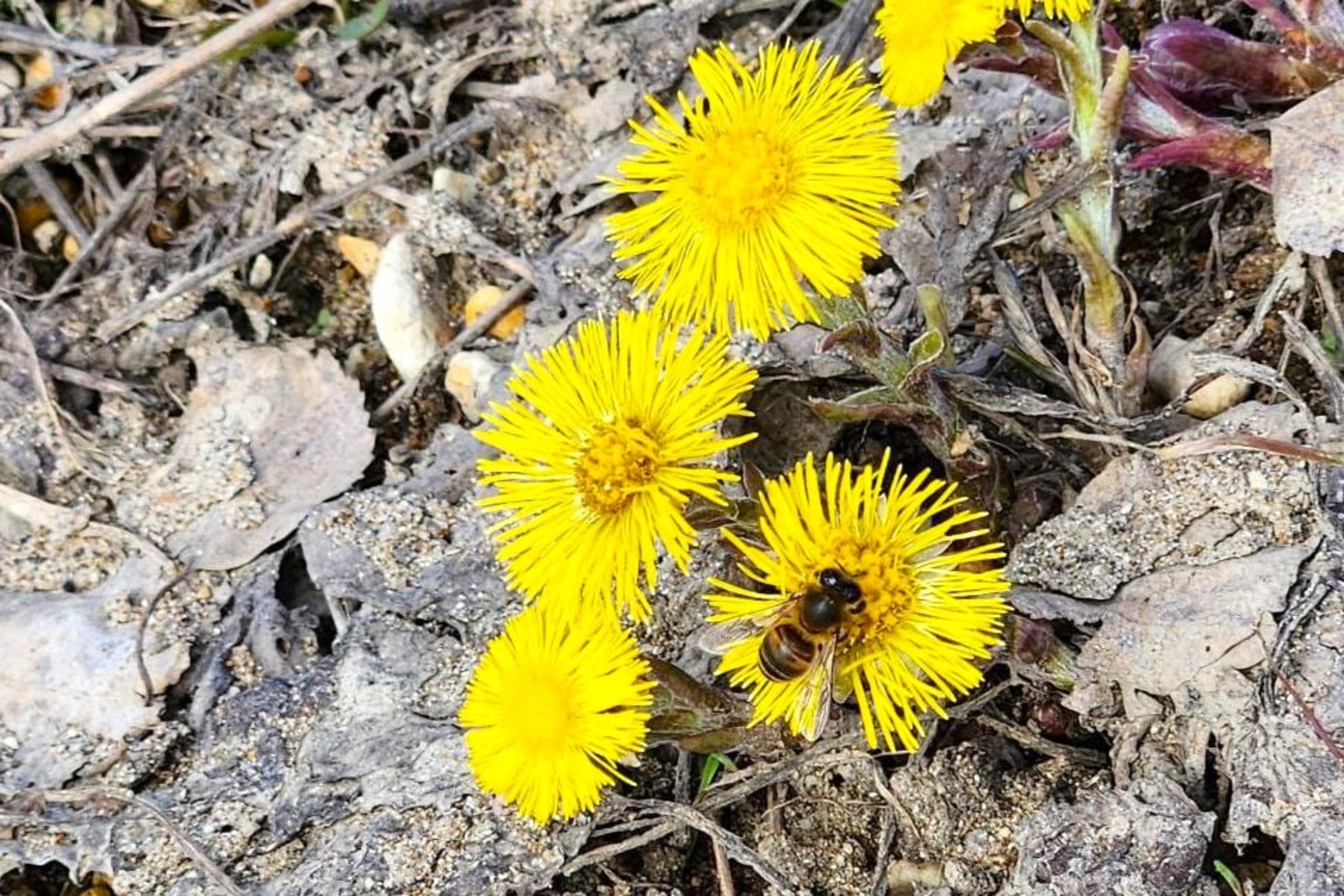 Евгении Сюткиной.